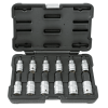 JBM - SET DE 12 PIEZAS DE 1/2" PUNTA HEXAGONAL
